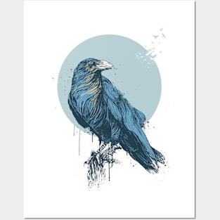 Blue crow Posters and Art